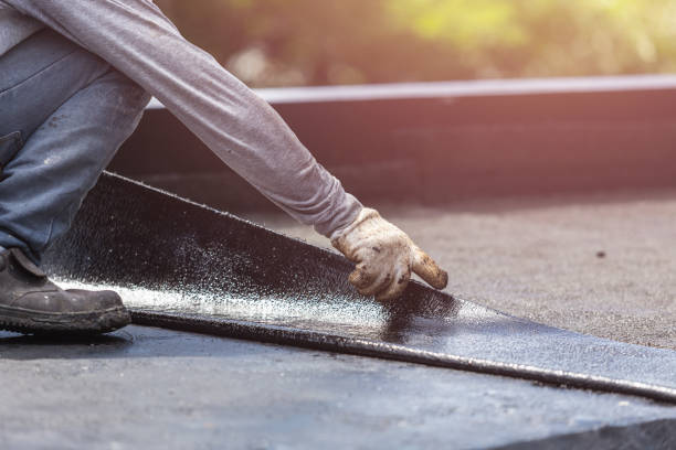 Professional Wet Basement Repair technician working in Wheaton, IL